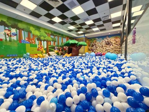 叢林小世界-球池